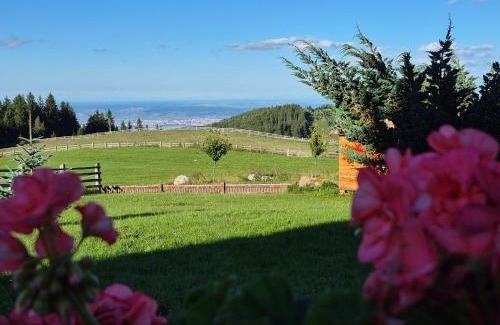 Gura Raului House | Pensiunea Turistică Vălari