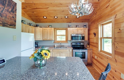 Iron River Cabin | Pet-Friendly Iron River Cabin with Fire Pit!