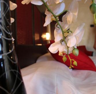 Nogara Hotel | Piccolo Hotel Nogara