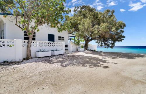 Playa Villa | Pixel Paradise Oceanfront Villa with Stunning Views