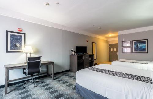 Webster Hotel | Platinum Inn & Suites Webster