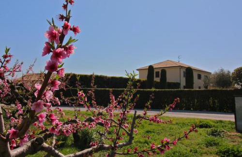 Paestum House | Portasirena Agriturismo