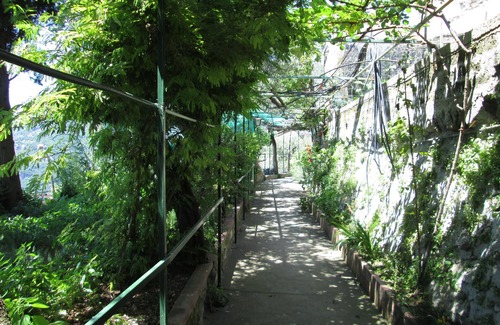 Montepertuso Apartment | Positano House B & B L'Uliveto