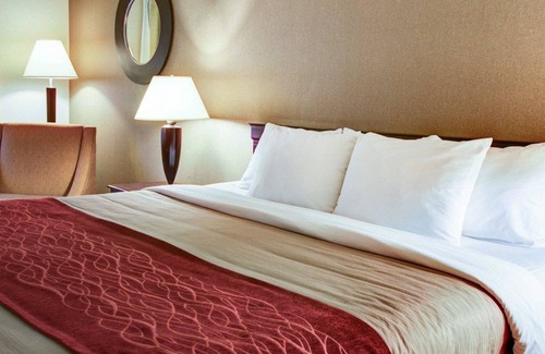 Florence Hotel | Quality Inn Florence
