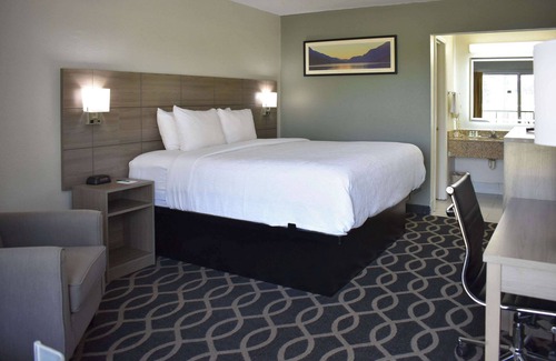 Manning Hotel | Quality Inn Manning I-95