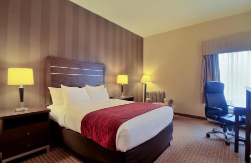 Edgewood Hotel | Quality Inn & Suites Bel Air I-95 Exit 77A