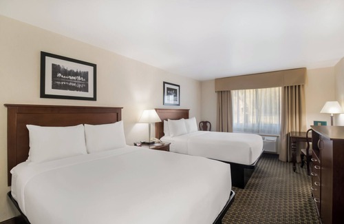 Steamboat Springs Hotel | Quality Inn & Suites Steamboat Springs
