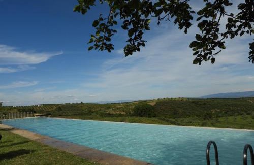 Santa Maria de Emeres House | Quinta da Alagoa