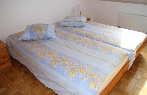 Leysin Apartment | Résidences du Chamossaire
