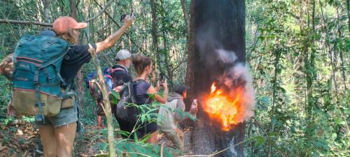 Ban Lung Cabin | Ratanakiri Farmhouse & Trekking