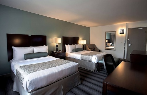 Downtown Chicago Hotel | Recharge & Relax! Three Comfortable Units for Group Travel Near Willis Tower