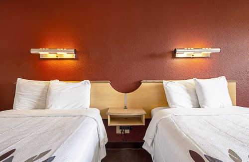 Doctors Inlet Hotel | Red Roof Inn Jacksonville - Orange Park