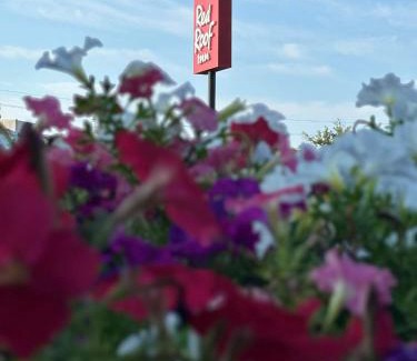 Panama City Hotel | Red Roof Inn Panama City