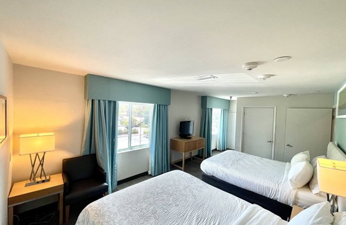 Bearss Plaza Hotel | Red Roof Inn PLUS+ & Suites Tampa