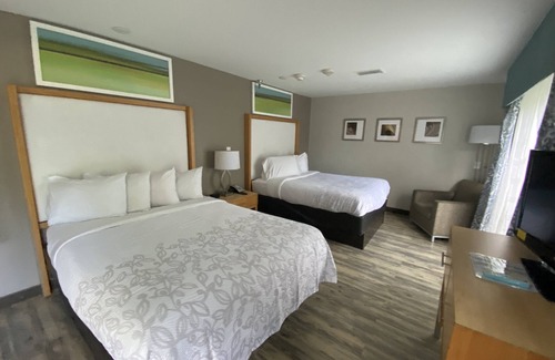 Bearss Plaza Hotel | Red Roof Inn PLUS+ & Suites Tampa