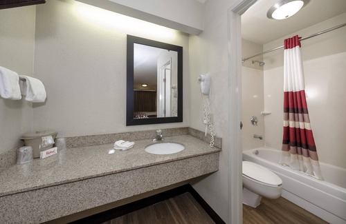Tampa Hotel | Red Roof Inn Tampa - Brandon