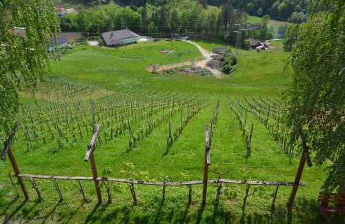 Rogaska Slatina House | Relax Guest House Marjanca