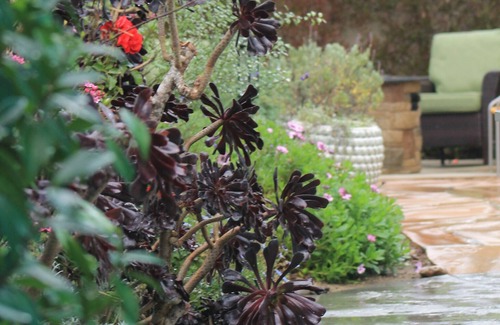 Pierpont Bay House | REMODELED COTTAGE -BEST BACKYARD AREA IN PIERPONT!