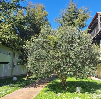 Duna Verde Apartment | Residence Duna Rossa - Family Friendly