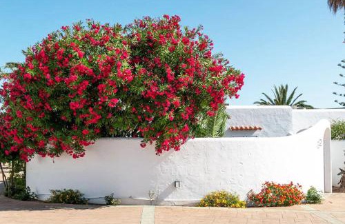 San Antonio Bay Villa | Residencial Bogamarí
