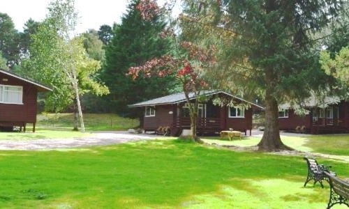Carrbridge Cabin | Reuben's Highland Retreat - Speyside