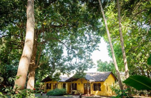 Arusha Hotel | Rivertrees Country Inn