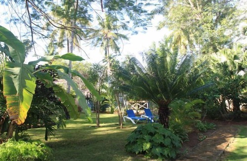 Las Terrenas Cottage | Robinson Crusoe Caribbean Syle Cottage, Simple Living 2 Minute Walk from Beach