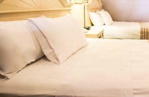 Apopka Hotel | Rodeway Inn
