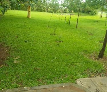 Rodi Kopany Bed & Breakfast | Rodi Residence