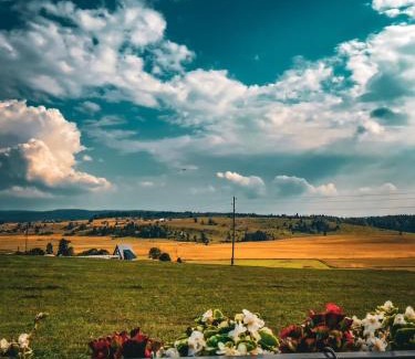 Sokolac House | ROMANIJA - Brvnara za odmor