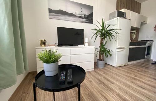 Rovinka Apartment | ROVAO Apartment, 1-2 guests, Free Parking & Wifi, 30min from Downtown