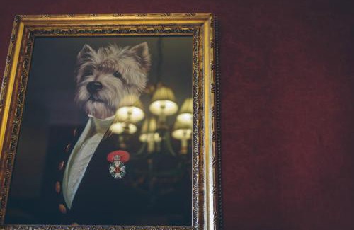 Cardeston Hotel | Rowton Castle