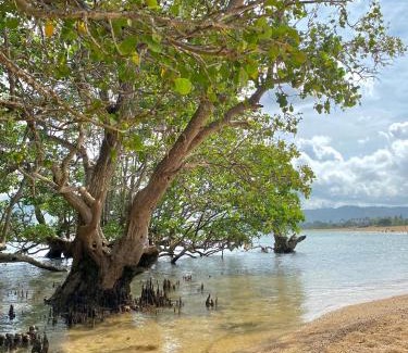 Lombok House | Rumah Putih Edi