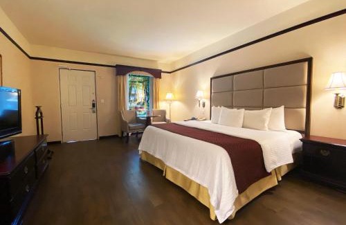 Monterrey Centro Hotel | Safi Royal Luxury Centro