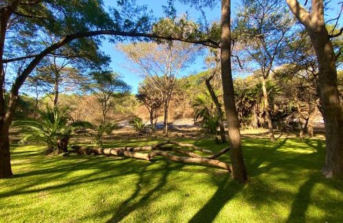 Lusaka Resort | Sakae Paradise Resort