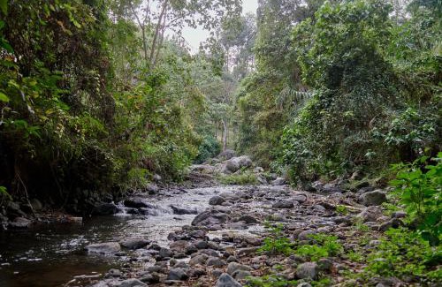 Arusha Cabin | Samora River Lodge