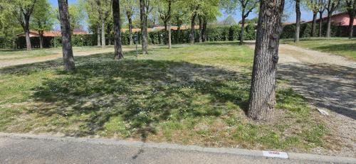 Desenzano del Garda Resort | San Francesco Camping Village