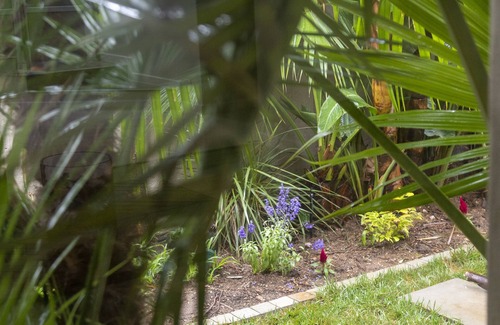 Greater Johannesburg Metropolitan Area Villa | Sandhurst Villa Close to Sandton City