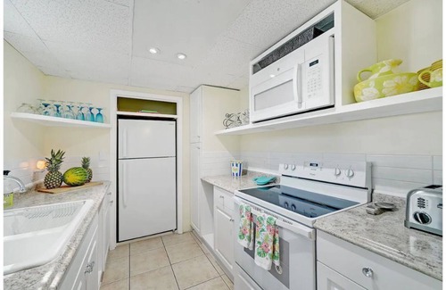 Arlington Park House | Sarasota Sanctuary Tropical Holiday