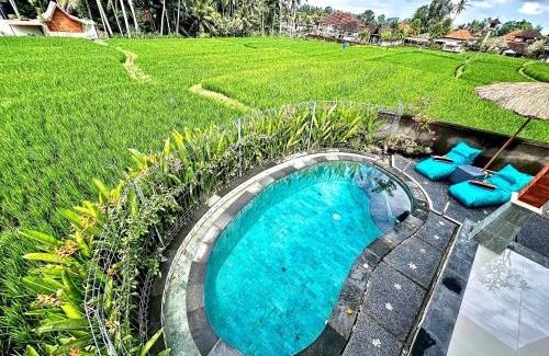 Melayang Villa | Sari Mumbul Villa in the Middle of Rice Fields