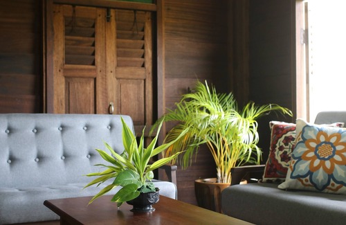 Kampung Kedawang Villa | Sawah Padi Villa - Rice Paddy Field Views