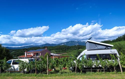 Zalosce Other | Saxida Wine & Camping Resort Pitches