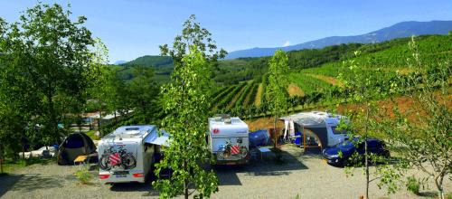 Zalosce Other | Saxida Wine & Camping Resort Pitches