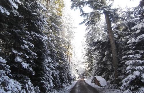 Bad Wildbad Hotel | Schwarzwald-Gasthof Hirsch