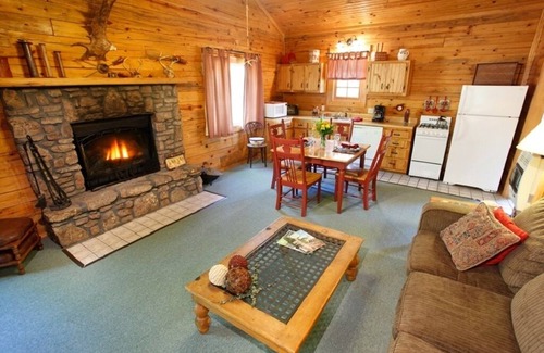 Eureka Springs Cabin | Secluded Charming Cabin in the woods, dog friendly, stone fireplace, jucuzzi tub