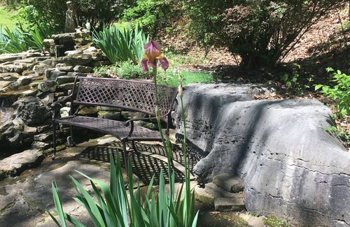 Eureka Springs Cabin | Secluded Charming Cabin in the woods, dog friendly, stone fireplace, jucuzzi tub