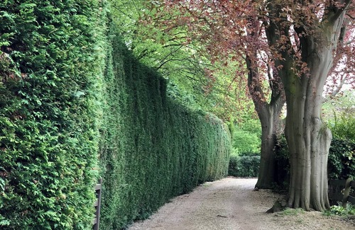 Appleton House | Seclusion Amongst the Trees