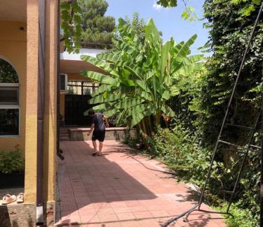 Dushanbe House | Secret Garden