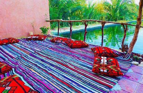 Siwa Cabin | Shasha Ecolodge
