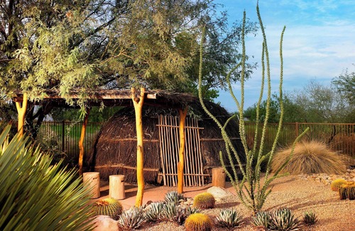 Chandler Resort | Sheraton Grand at Wild Horse Pass